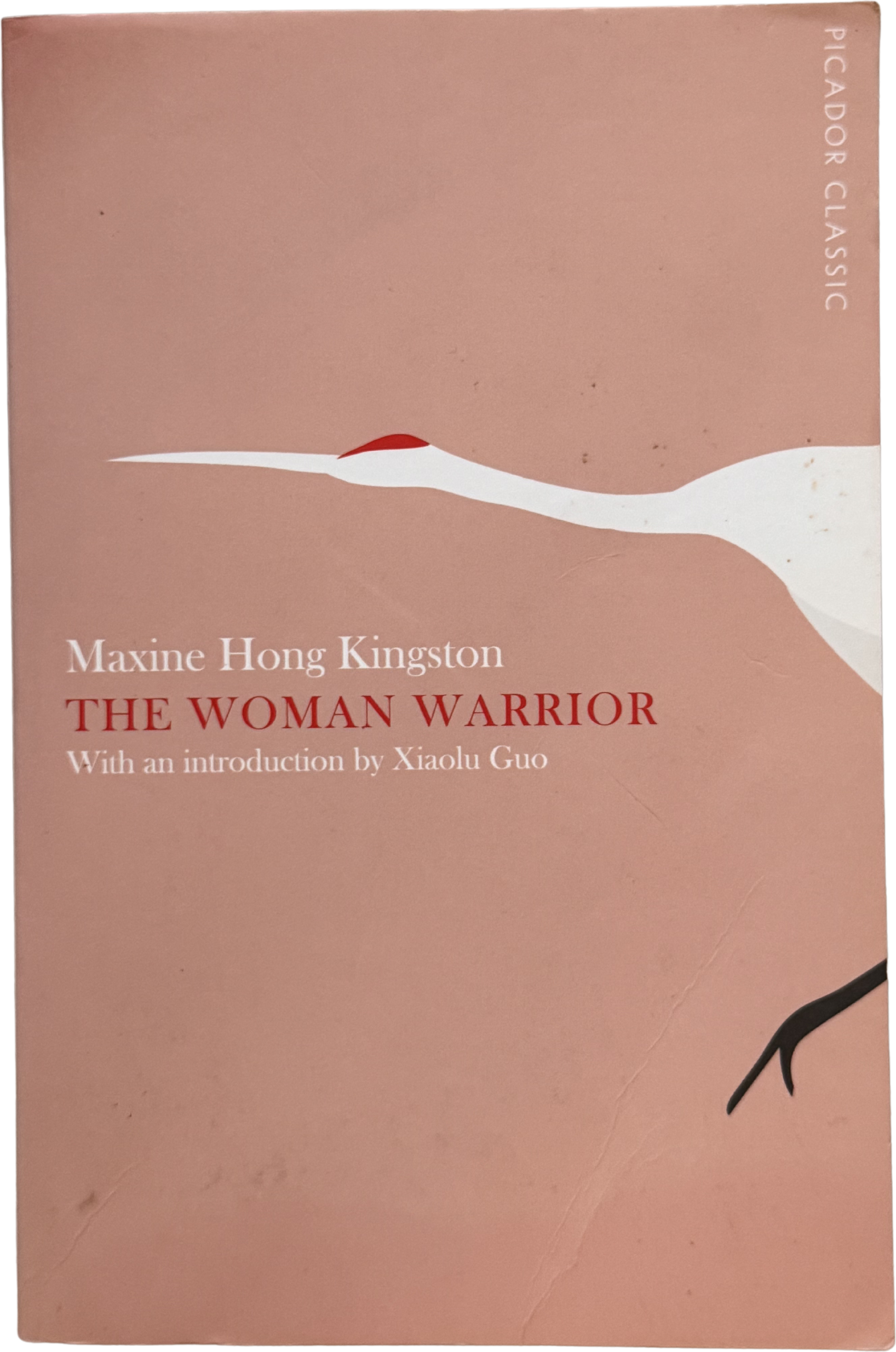 The Woman Warrior