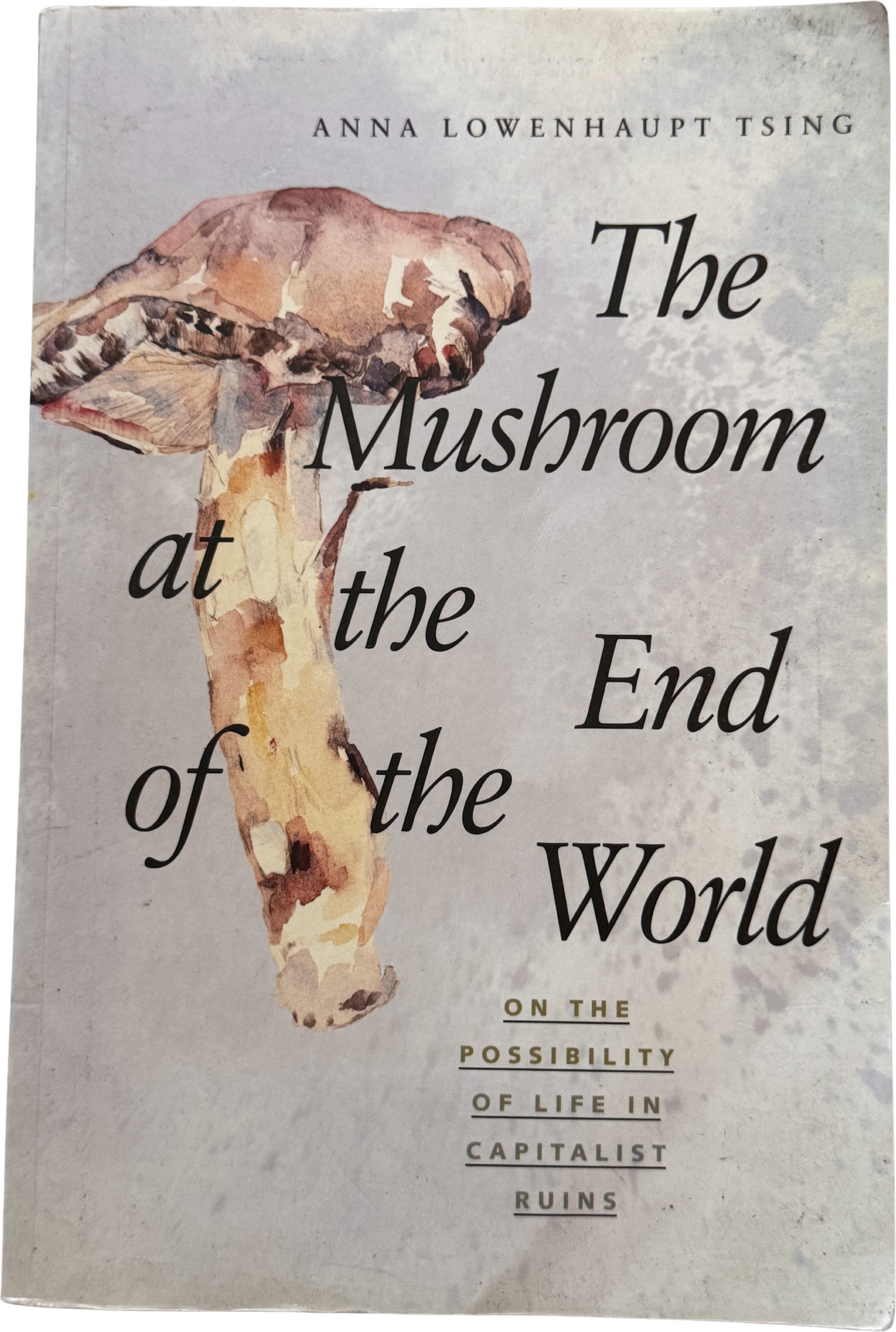 The Mushroom at the End of the World